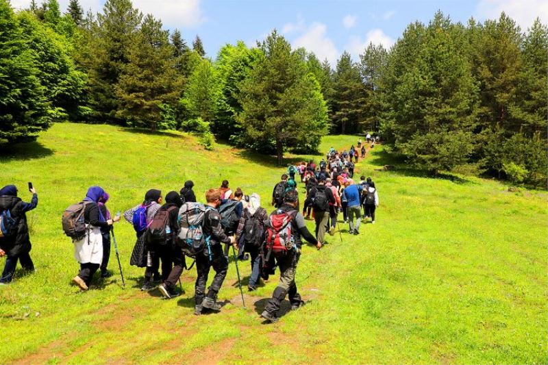 Doğa tutkunlarının rotası Pamukova oldu