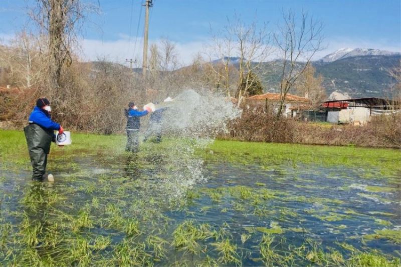 Muğla