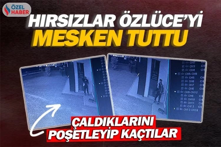 Hırsızlar Özlüce